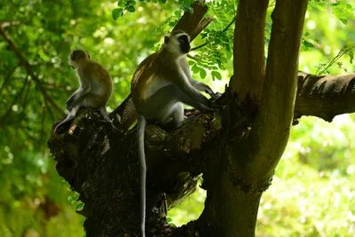 DSC_7870 (Large).JPG